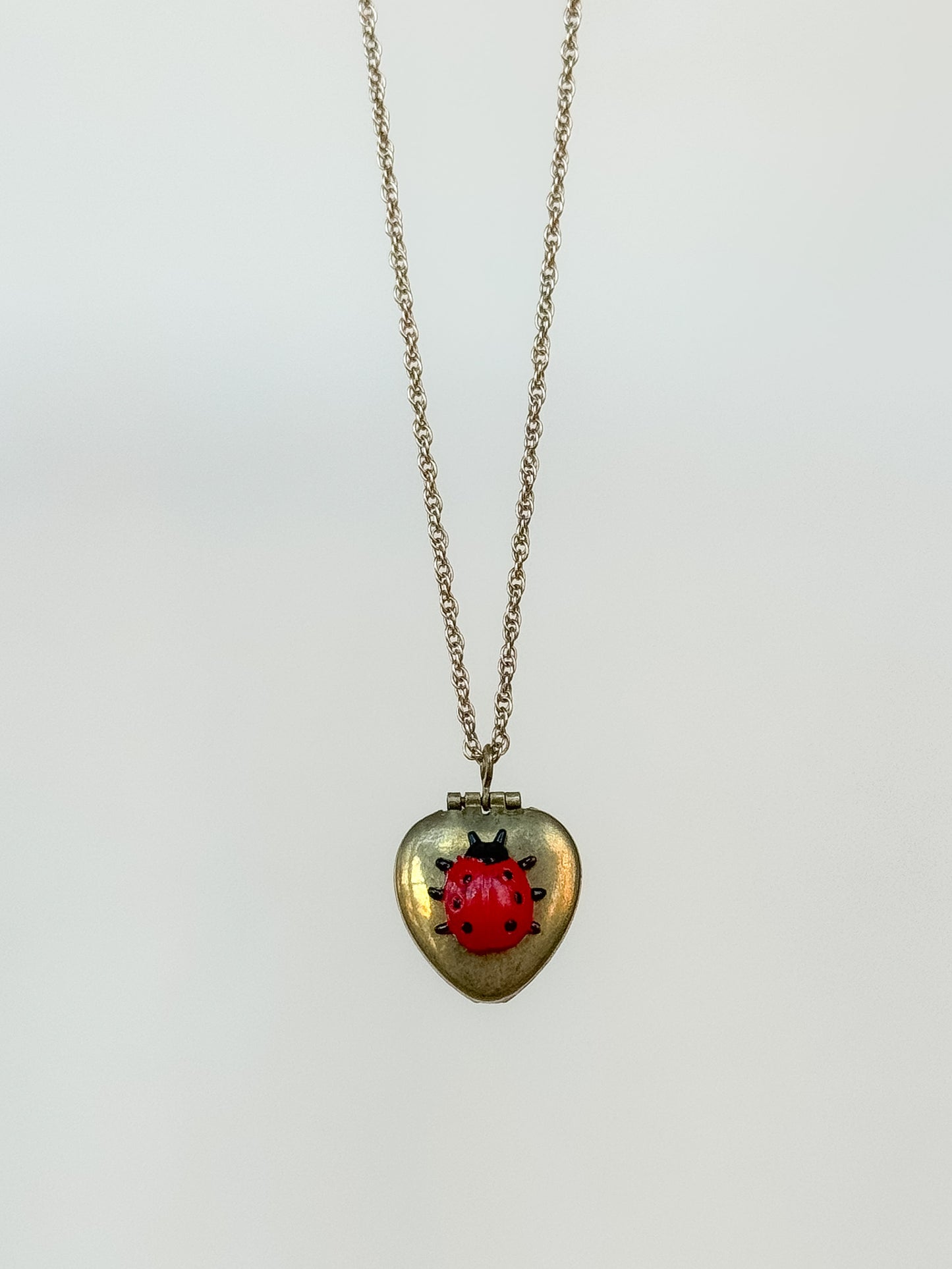 Lady Bug Locket Pendant Necklace